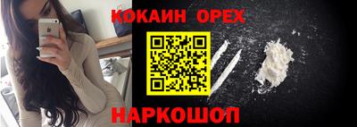 apvp Можга