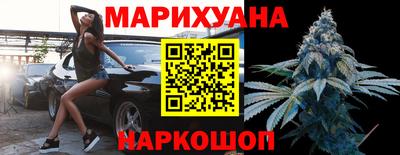 сатива Моздок
