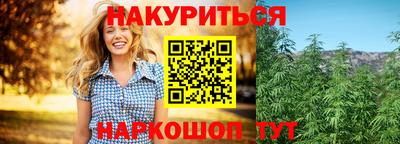 сатива Моздок