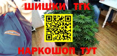сатива Моздок