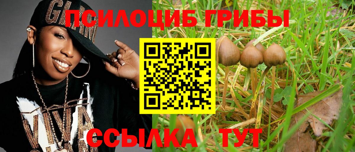 Псилоцибиновые грибы Cubensis  Вход с VPN  Электрогорск  Галлюциногенные грибы Psilocybe 